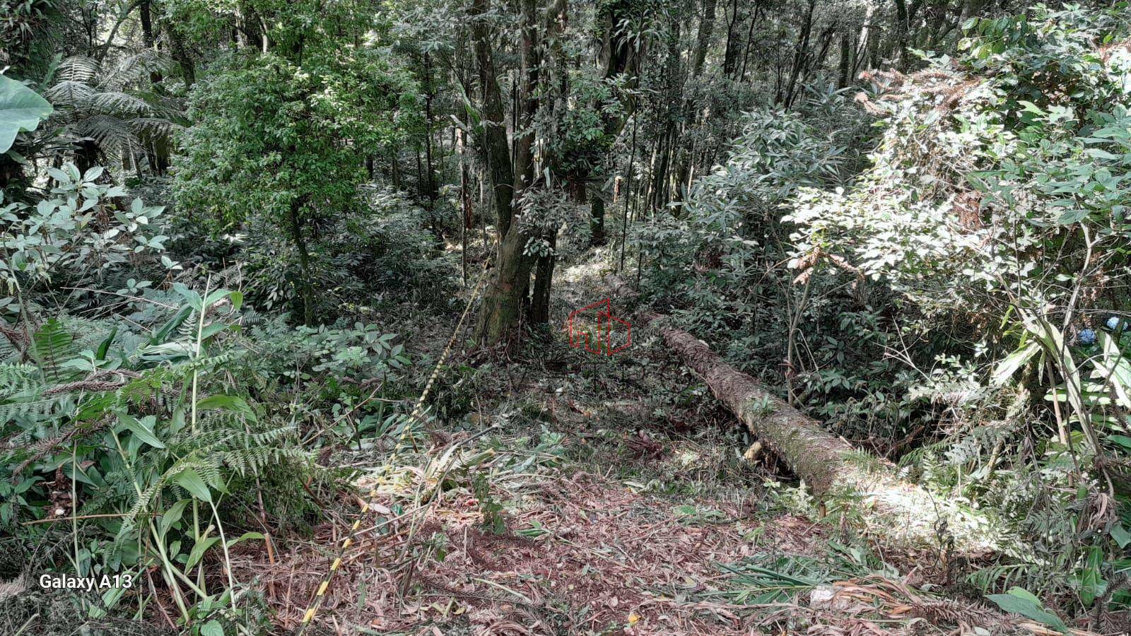 Terreno à venda, 922M2 - Foto 11