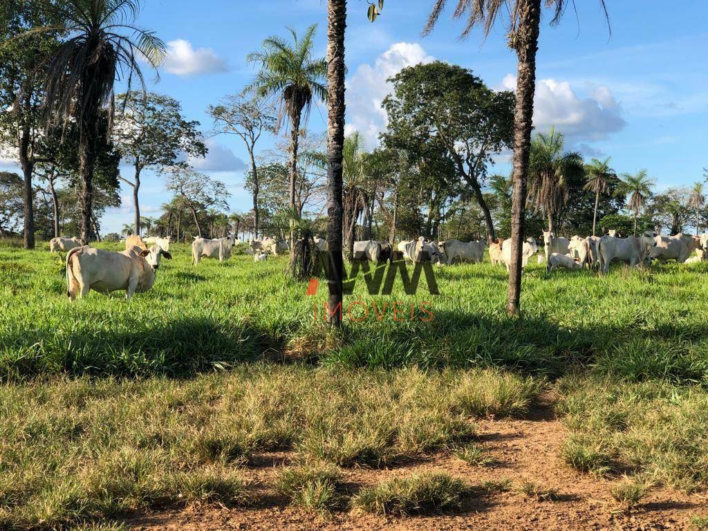 Fazenda à venda, 25748800M2 - Foto 14