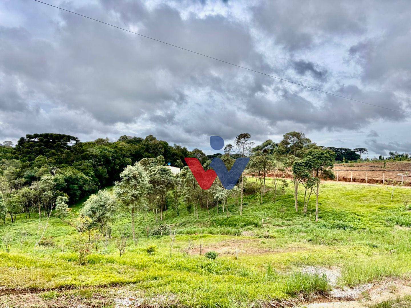 Chácara à venda com 2 quartos, 12000M2 - Foto 1