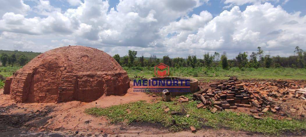 Fazenda à venda com 5 quartos, 26000000M2 - Foto 6