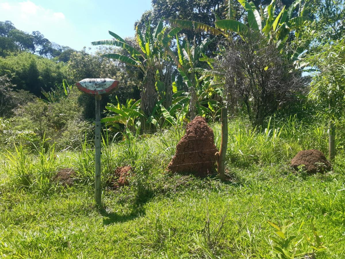 Fazenda à venda com 2 quartos, 4m² - Foto 39