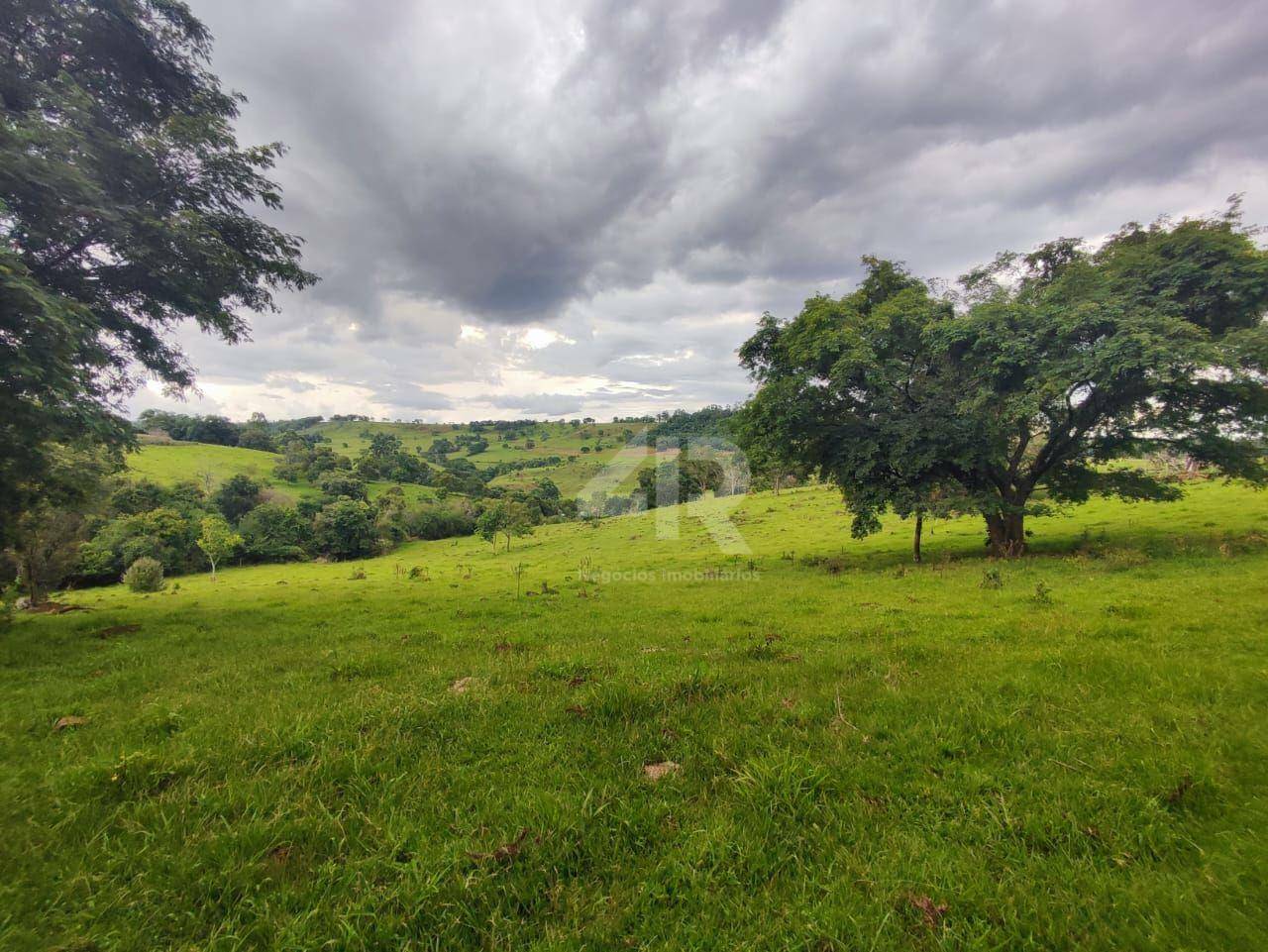 Terreno à venda, 242000M2 - Foto 3