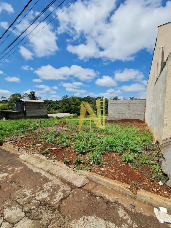 Terreno à venda, 250M2 - Foto 4