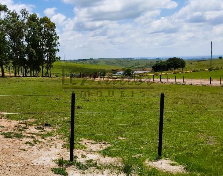 Fazenda à venda, 897m² - Foto 8