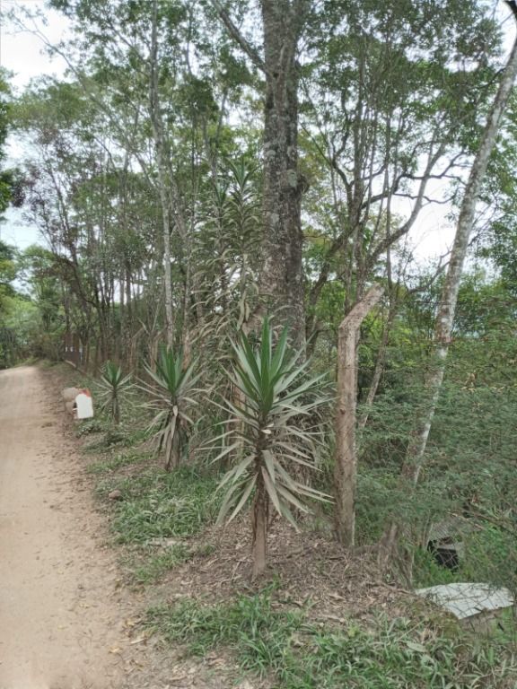 Chácara à venda com 5 quartos, 1000m² - Foto 38