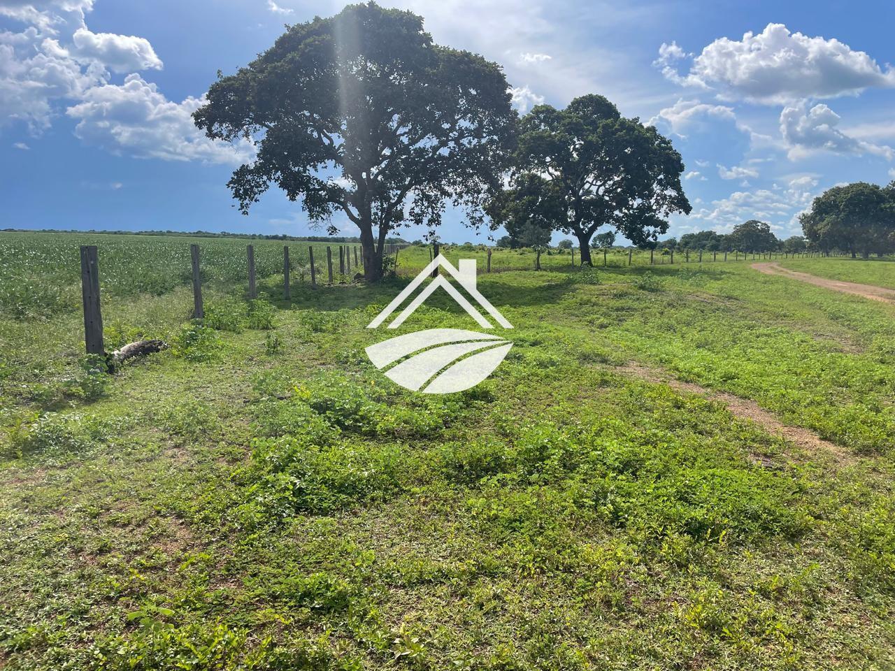 Fazenda para alugar, 1m² - Foto 10