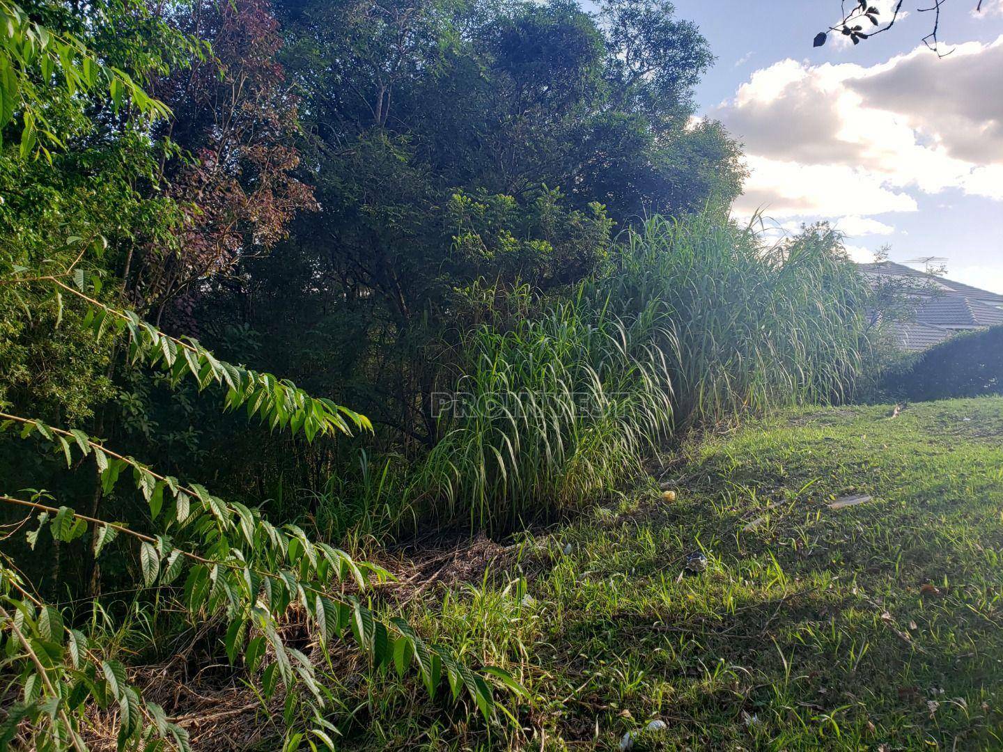 Loteamento e Condomínio à venda, 2530M2 - Foto 6