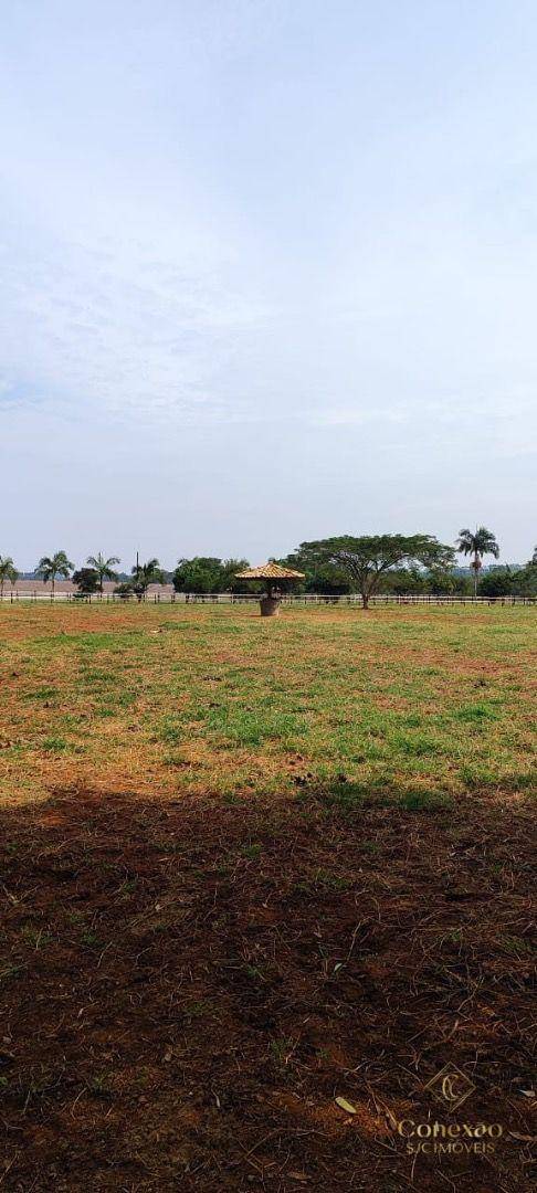 Fazenda-Sítio-Chácara, 136 hectares - Foto 24