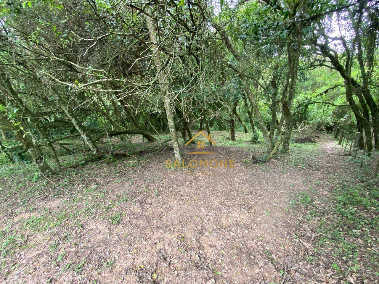 Terreno, 10000 m² - Foto 4