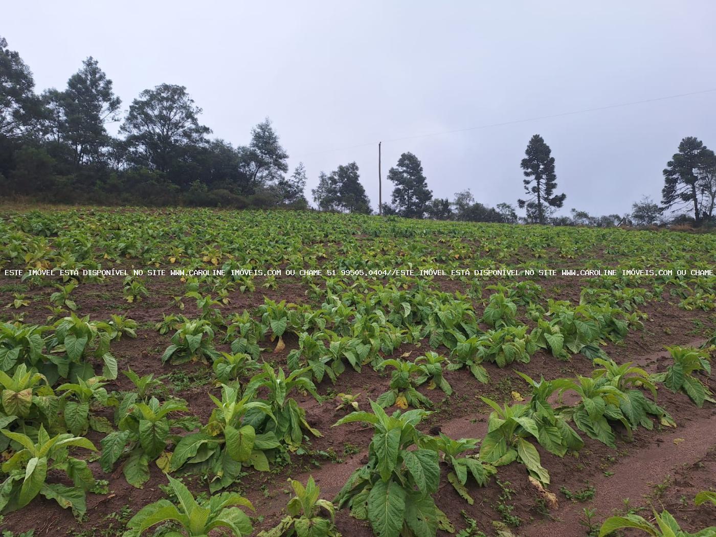 Loteamento e Condomínio à venda, 20000m² - Foto 6