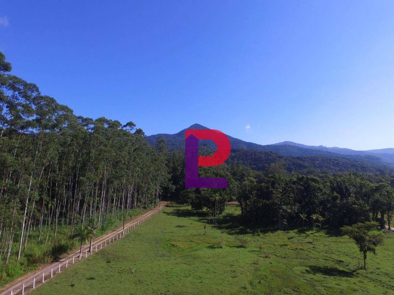 Chácara à venda com 3 quartos, 60000M2 - Foto 12