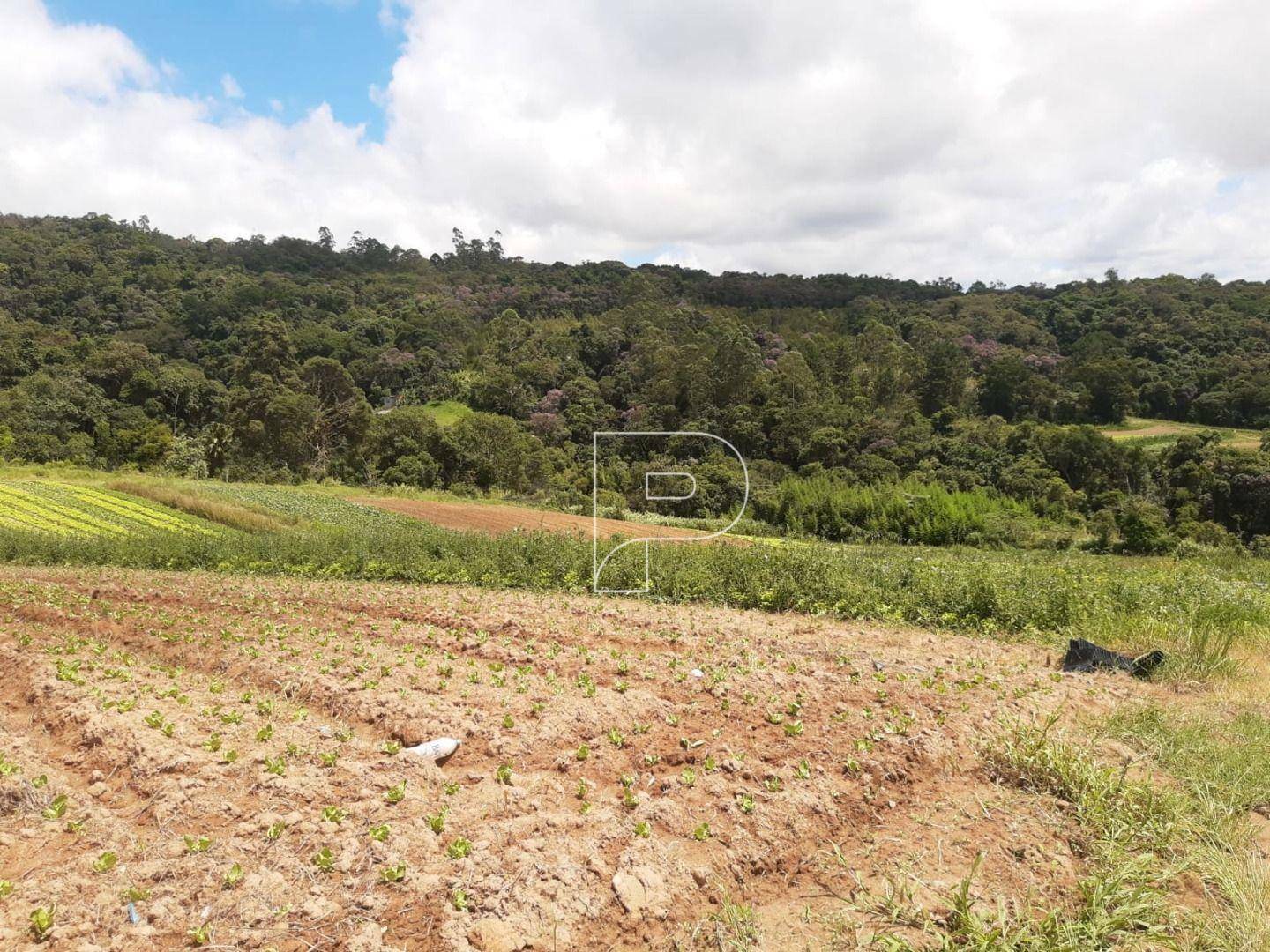 Terreno à venda, 39000M2 - Foto 17