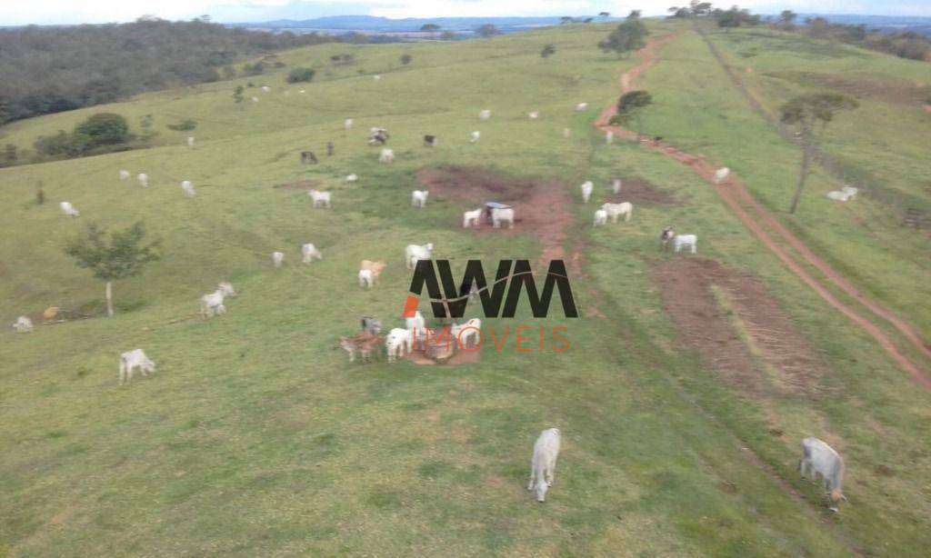 Fazenda à venda, 1887600M2 - Foto 2