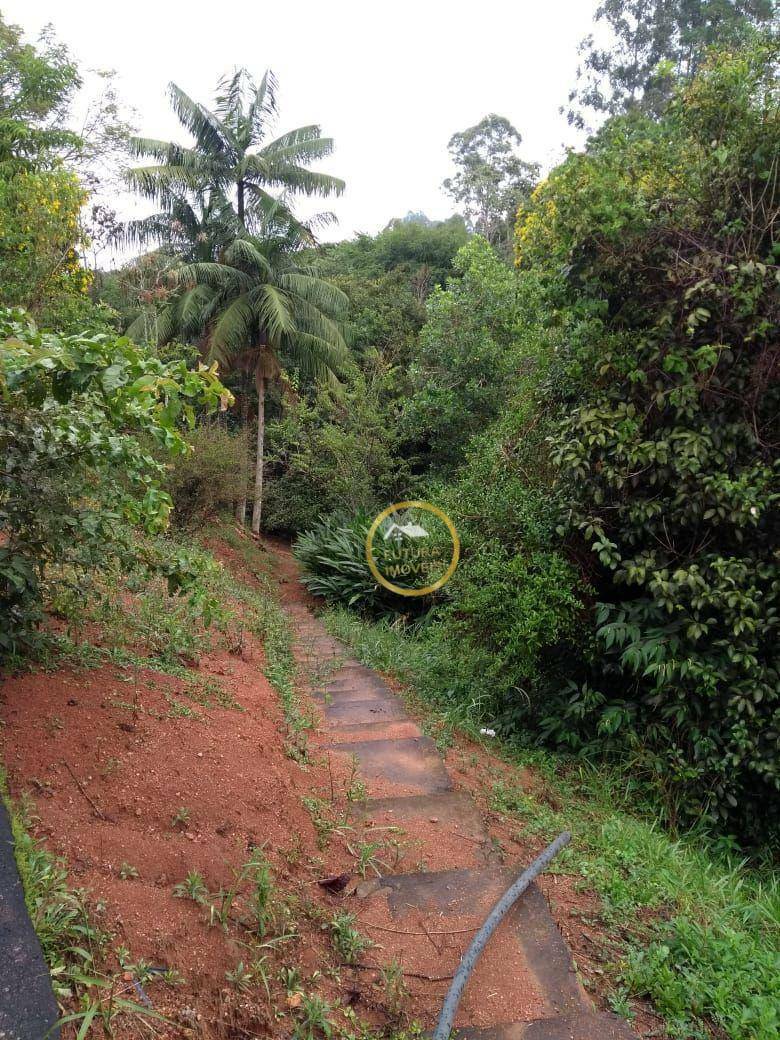 Chácara à venda com 4 quartos, 20000M2 - Foto 2