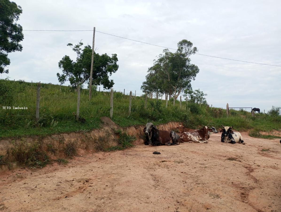 Fazenda à venda com 4 quartos, 36m² - Foto 5