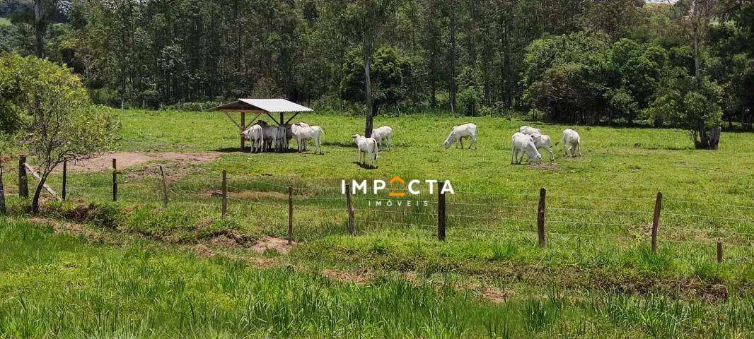 Sítio à venda com 2 quartos, 60500M2 - Foto 10