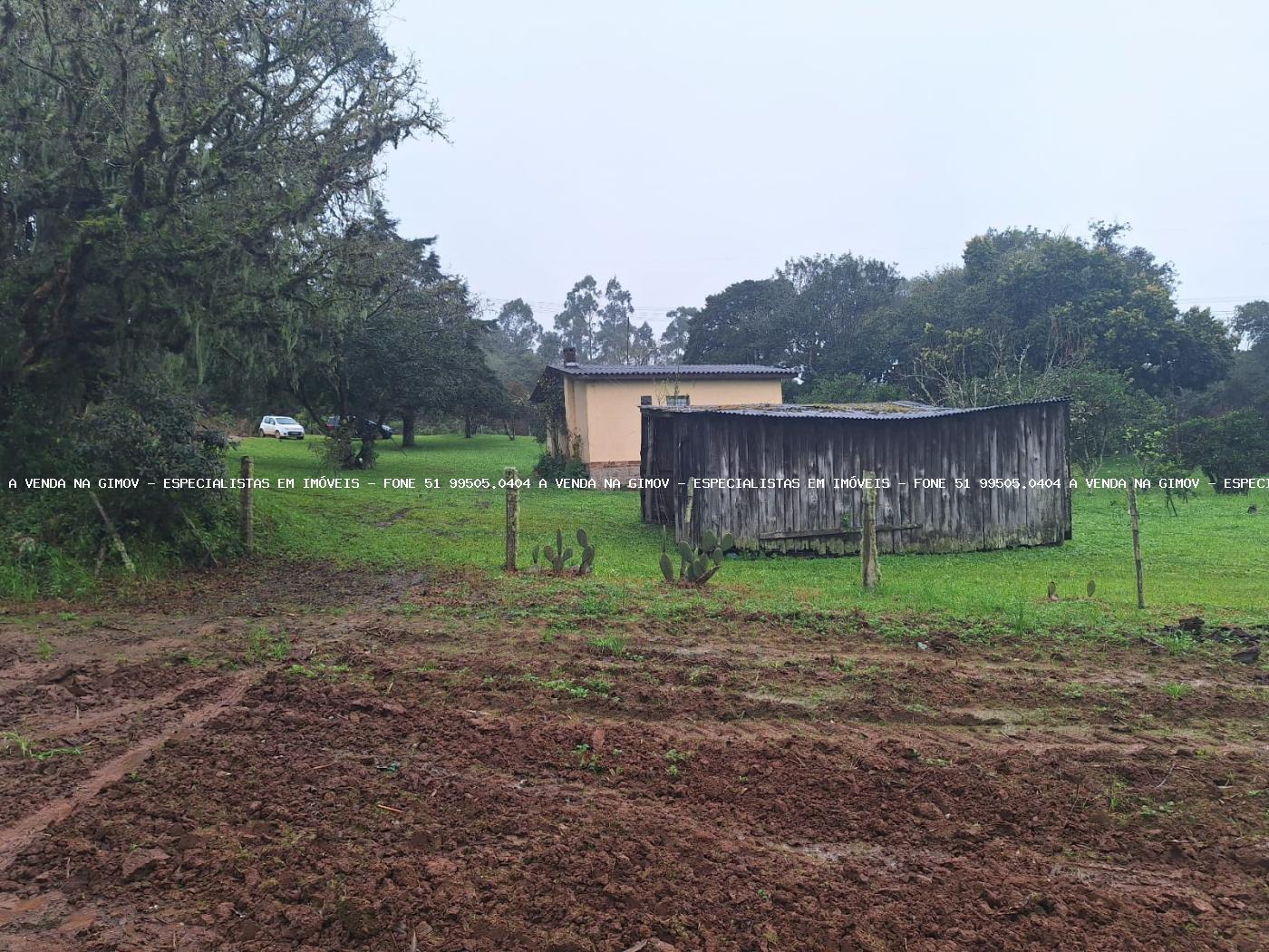 Fazenda à venda com 2 quartos, 141000m² - Foto 5