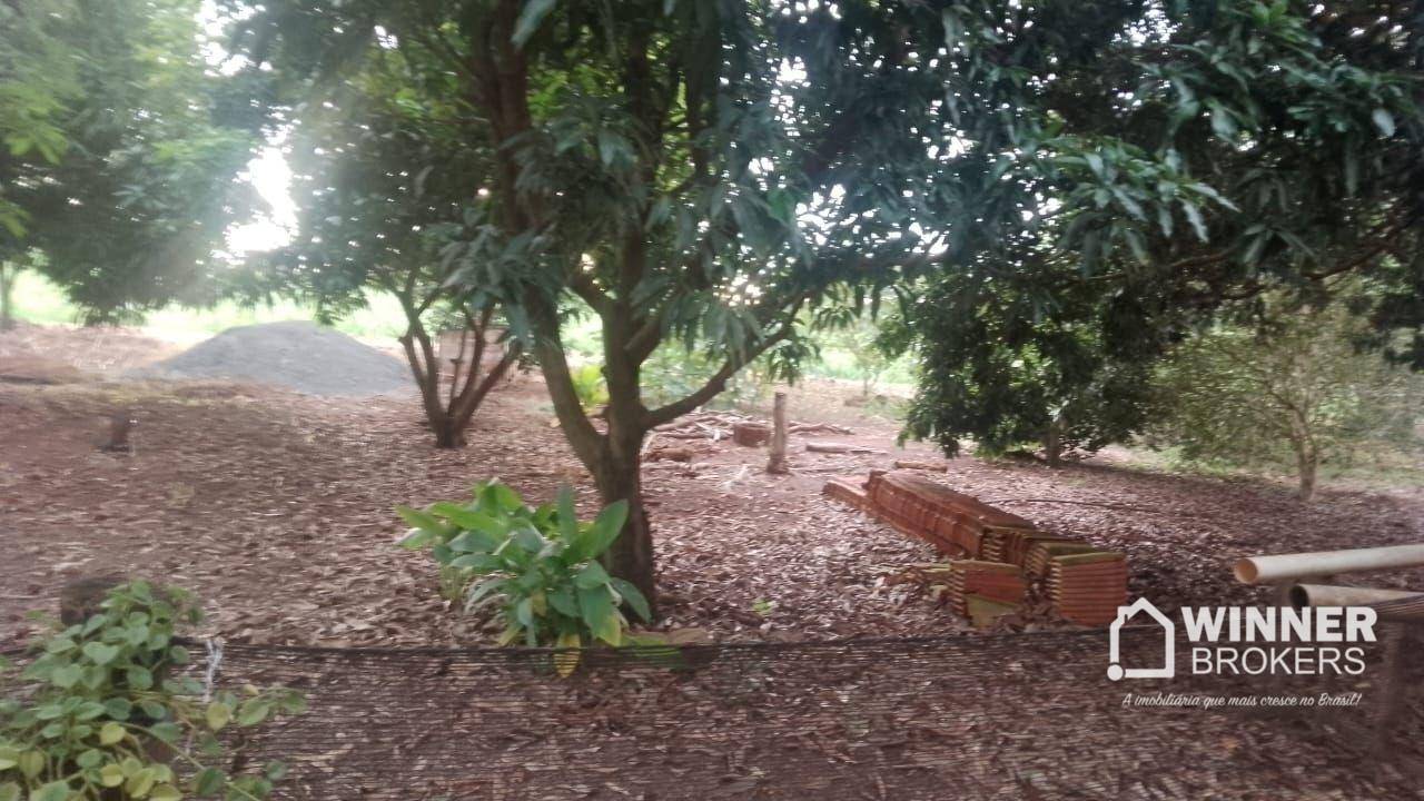 Chácara, 4 hectares - Foto 9