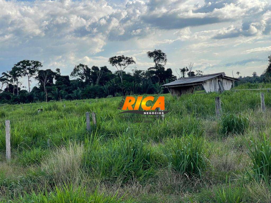 Sítio, 40 hectares - Foto 25