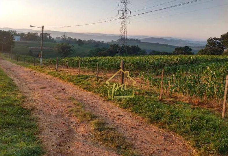 Fazenda à venda com 3 quartos, 1000m² - Foto 16