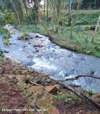 Fazenda à venda, 33000m² - Foto 2