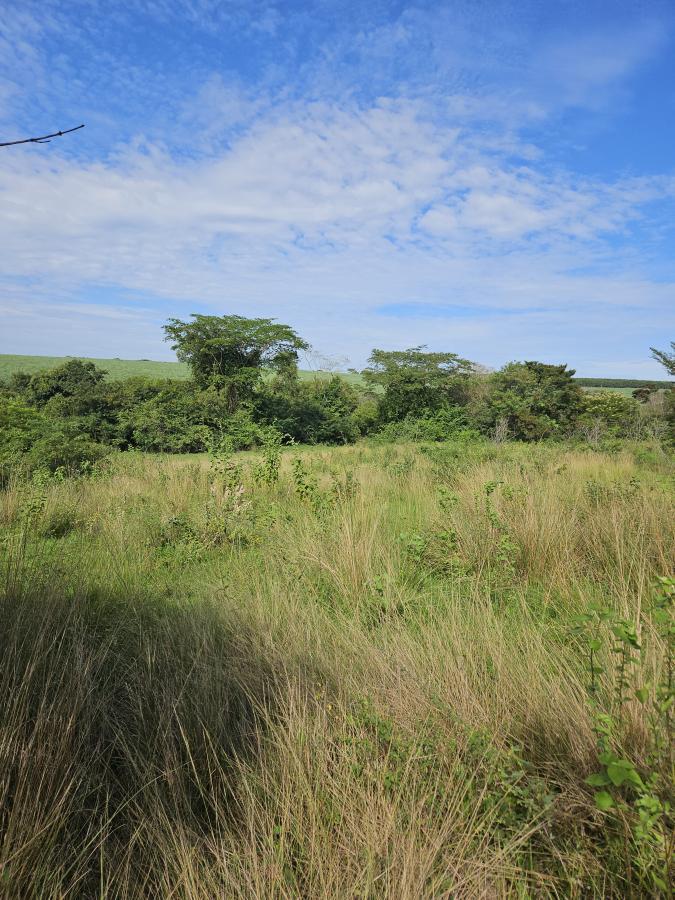 Chácara à venda, 4094m² - Foto 3