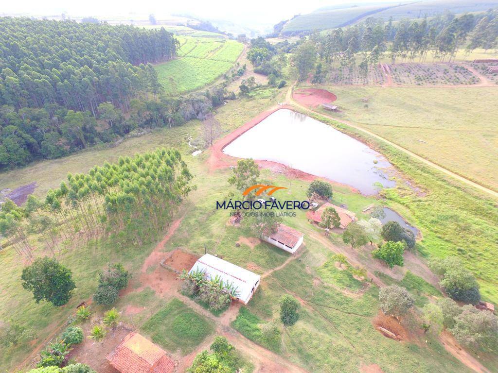 Sítio, 46 hectares - Foto 1