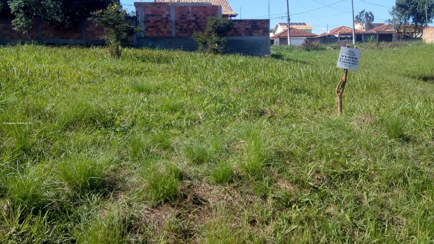 Terreno à venda, 250m² - Foto 2