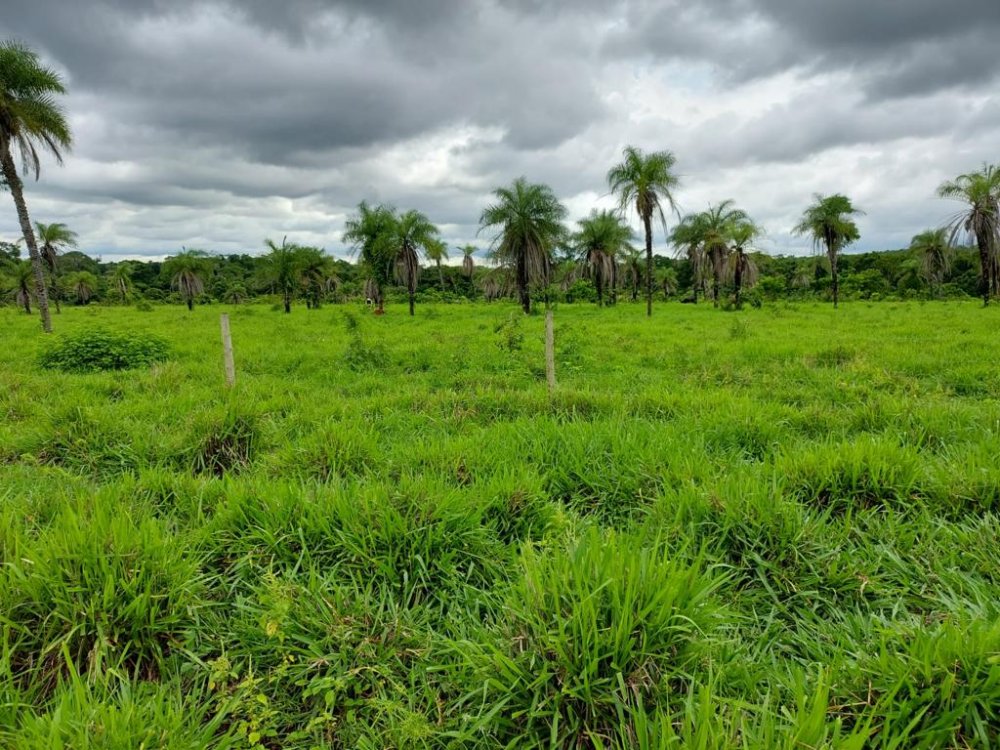 Fazenda à venda, 2575m² - Foto 17