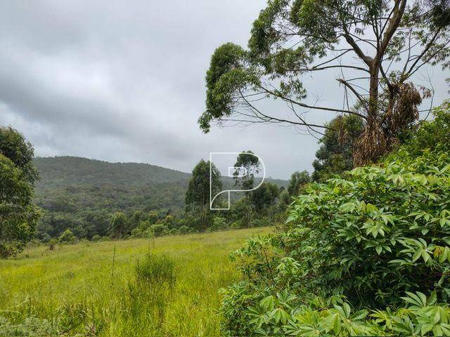 Terreno, 27 hectares - Foto 1