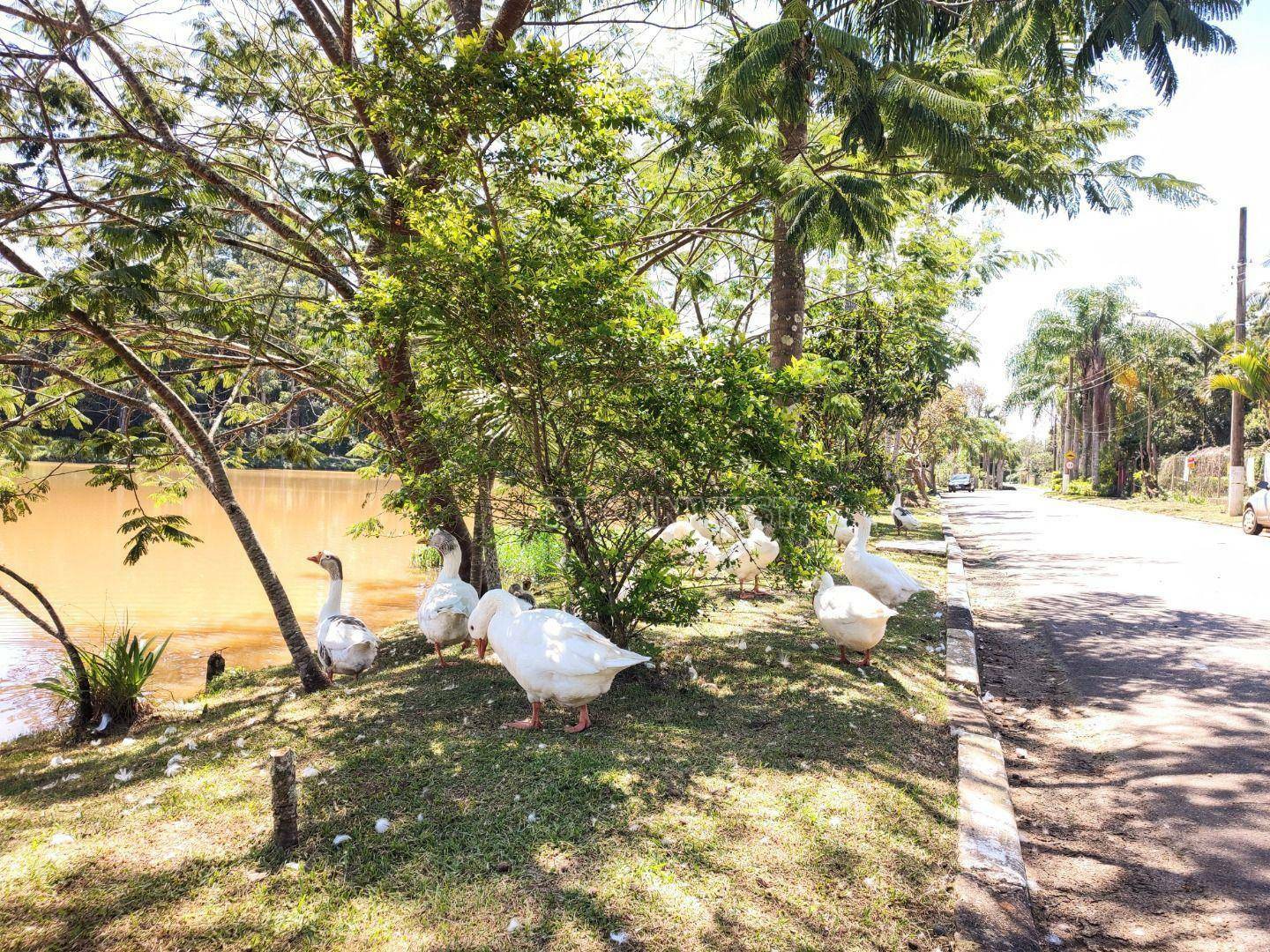 Loteamento e Condomínio à venda, 1290M2 - Foto 9