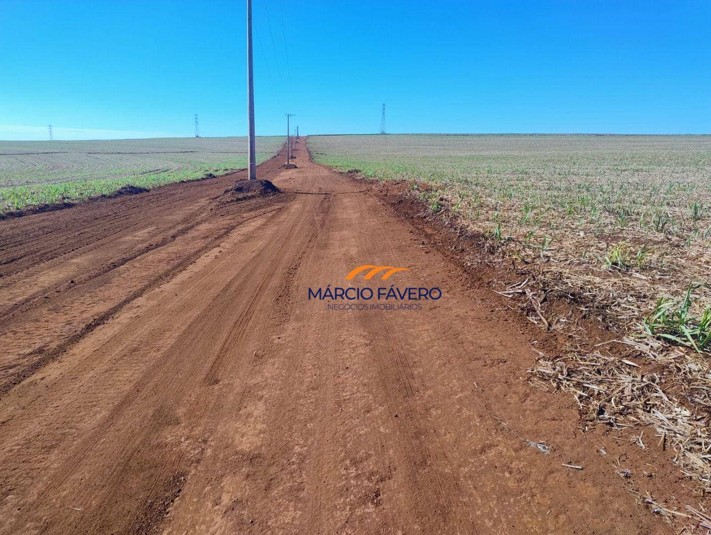 Fazenda-Sítio-Chácara, 298 hectares - Foto 25