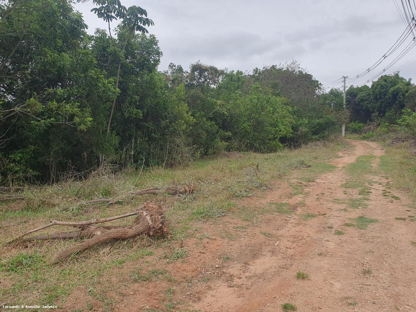 Fazenda à venda com 3 quartos, 80000m² - Foto 2