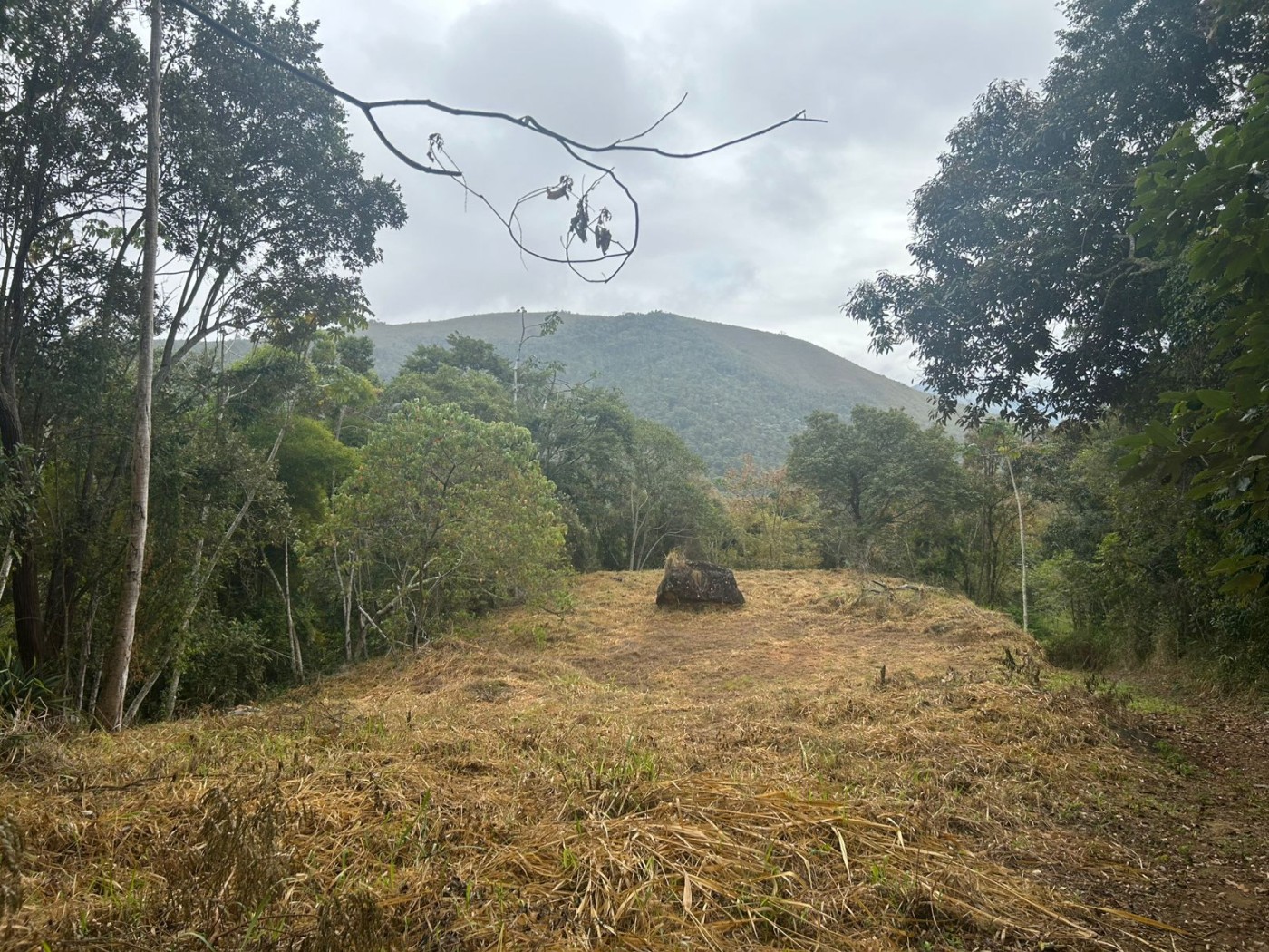 Terreno à venda, 178000m² - Foto 38