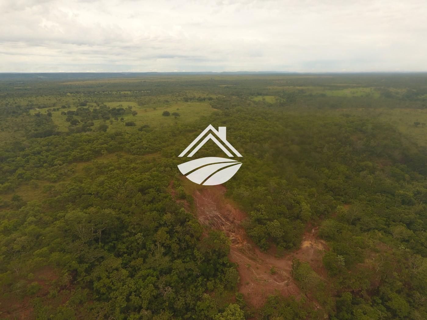 Fazenda à venda, 1m² - Foto 26