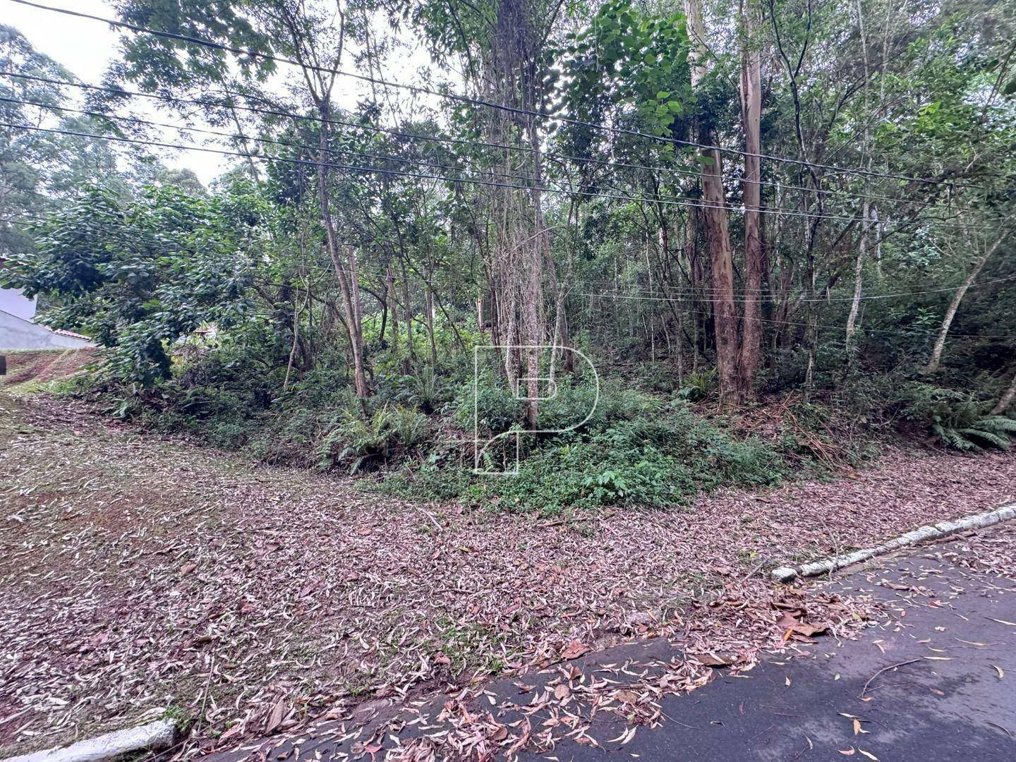 Loteamento e Condomínio à venda, 501M2 - Foto 7