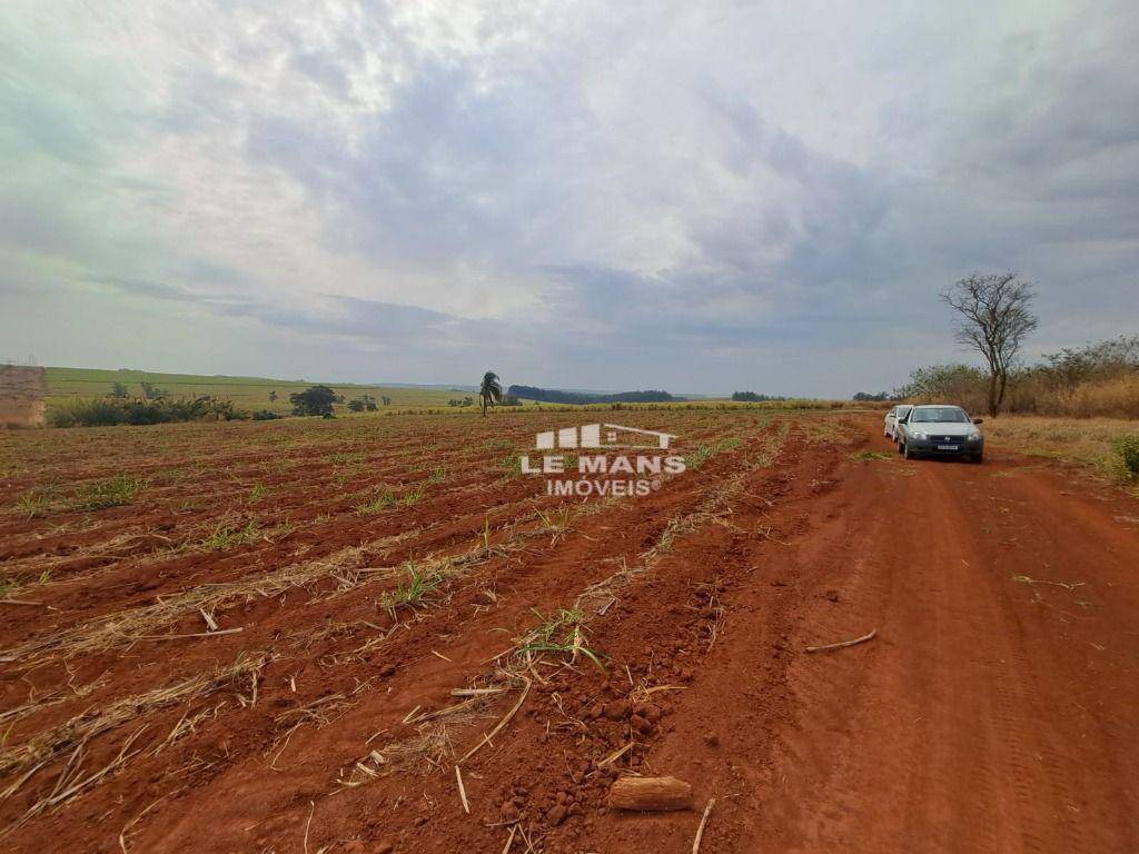 Terreno, 1000 m² - Foto 3