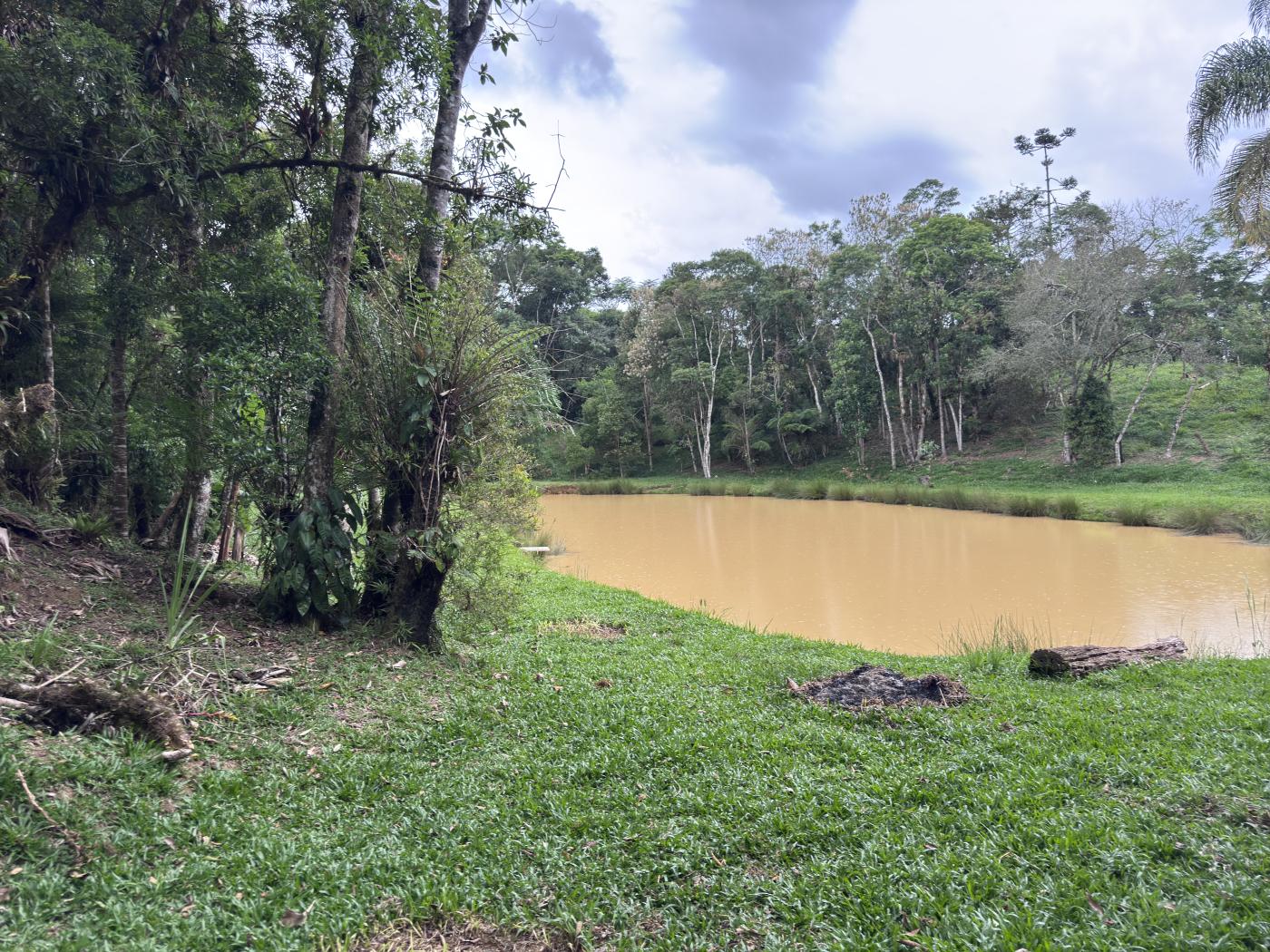 Chácara à venda com 4 quartos, 15000m² - Foto 64