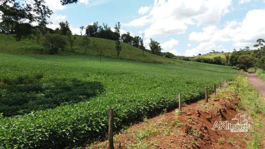 Fazenda à venda com 1 quarto, 2819300M2 - Foto 21