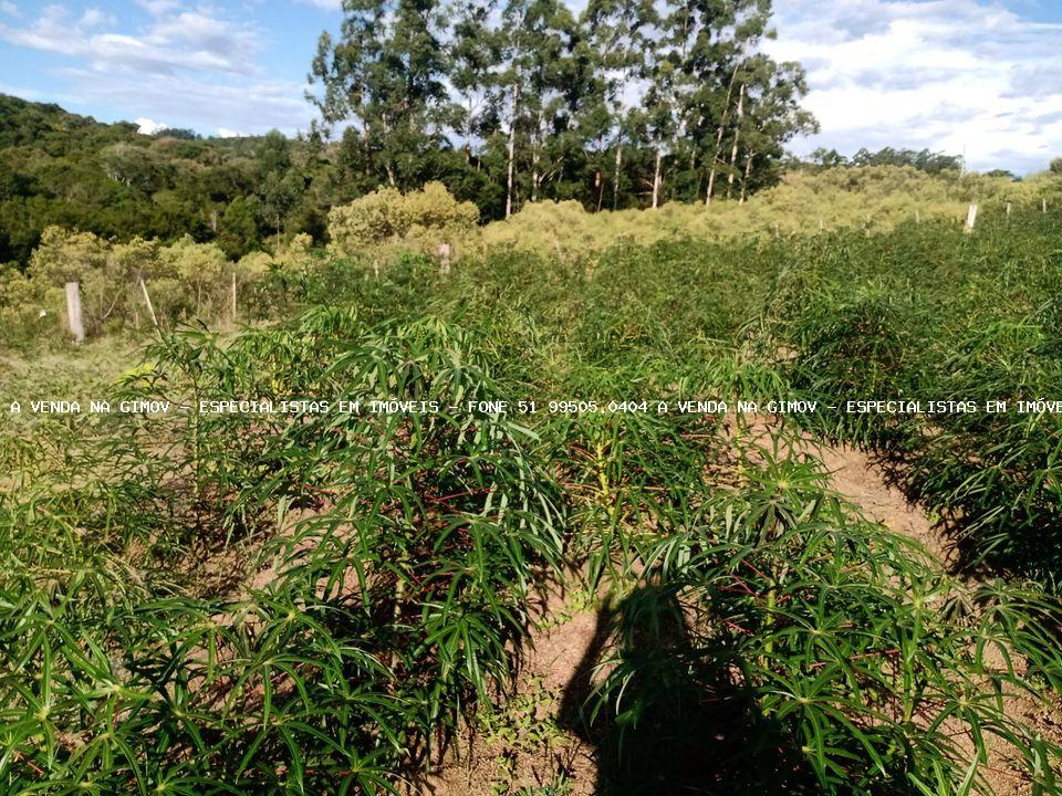 Fazenda à venda, 10000m² - Foto 12