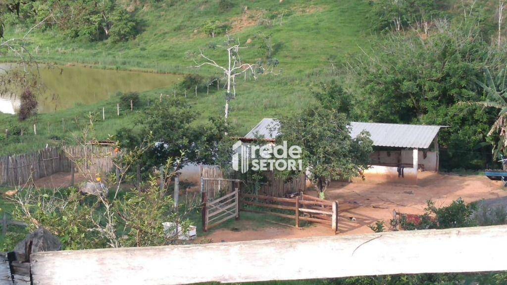 Sítio à venda com 5 quartos, 170000M2 - Foto 18