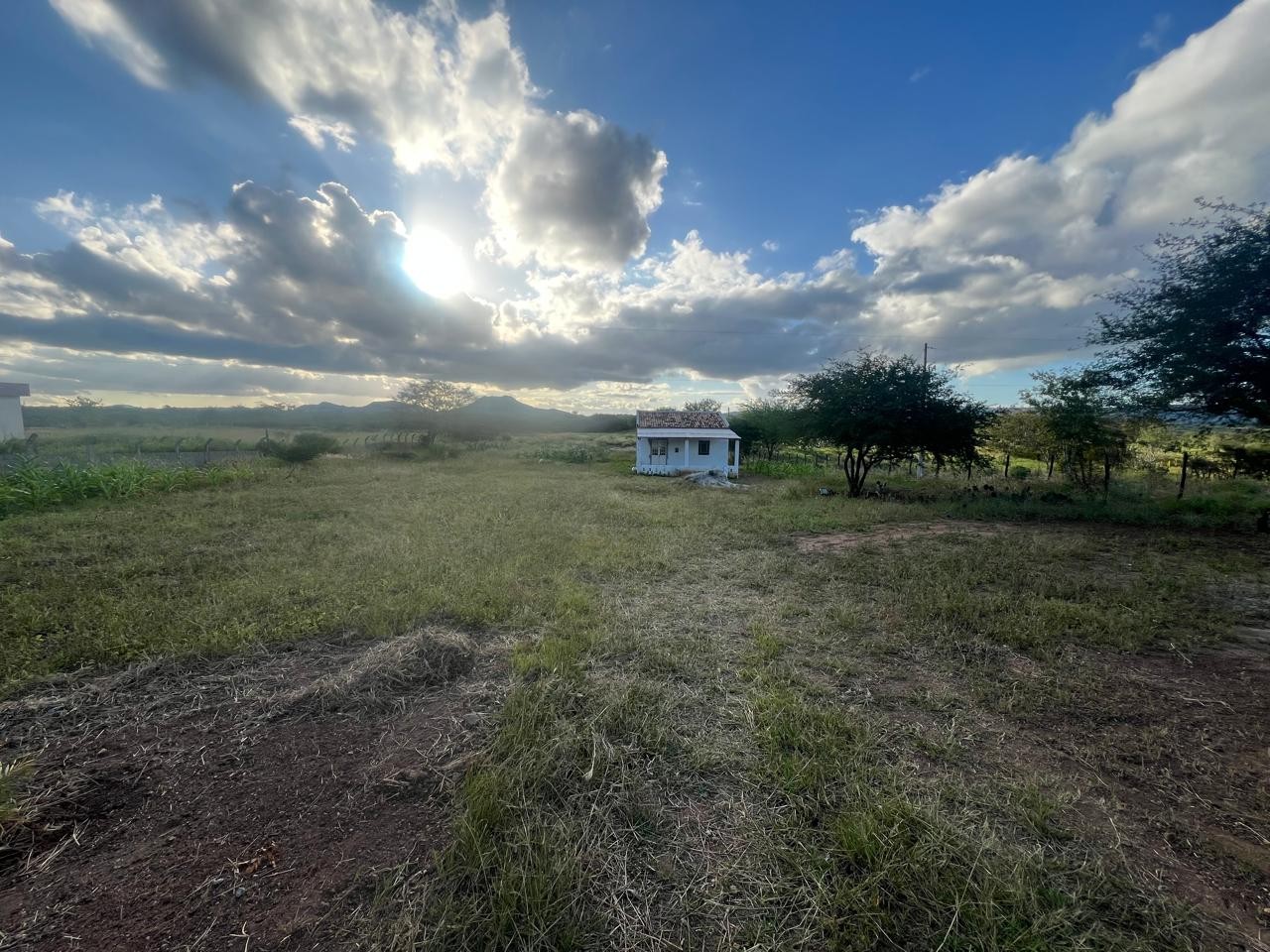 Sítio à venda com 2 quartos, 5000m² - Foto 7