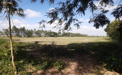 Sítio à venda com 4 quartos, 72000m² - Foto 7