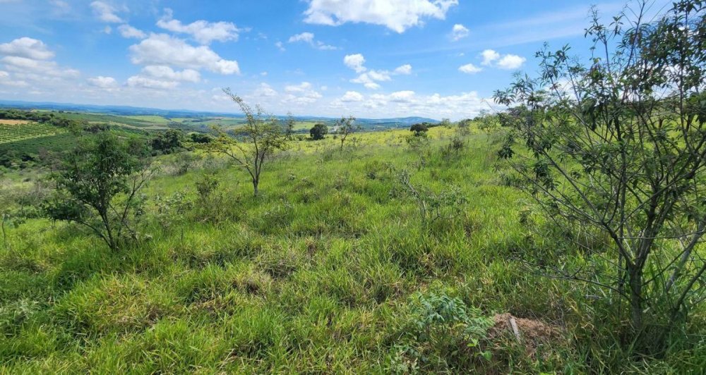 Fazenda à venda, 100m² - Foto 8