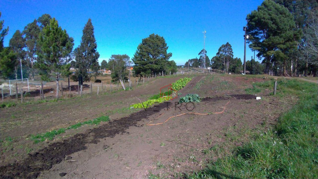 Sítio à venda com 2 quartos, 70000M2 - Foto 54