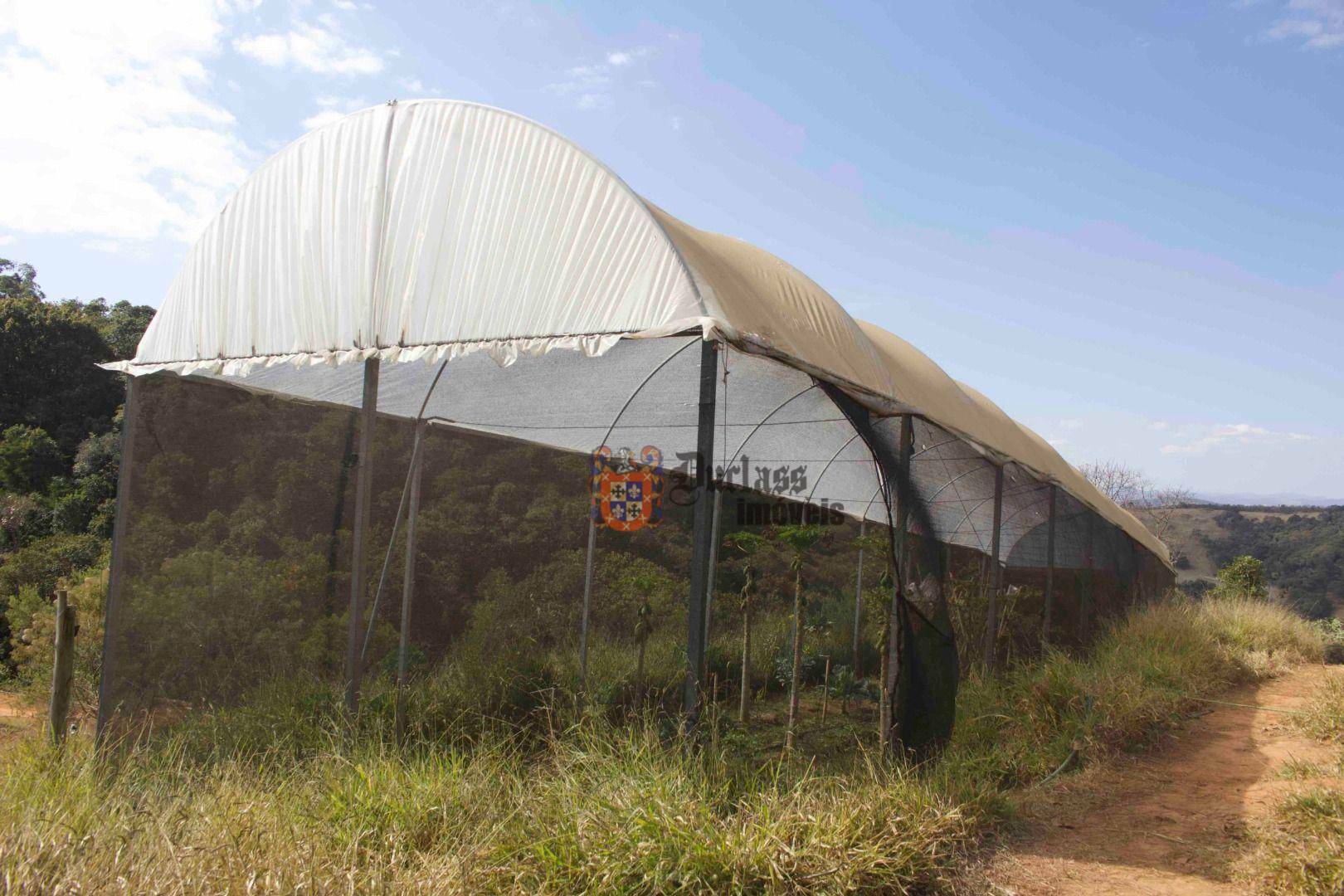 Sítio à venda com 19 quartos, 1859m² - Foto 211