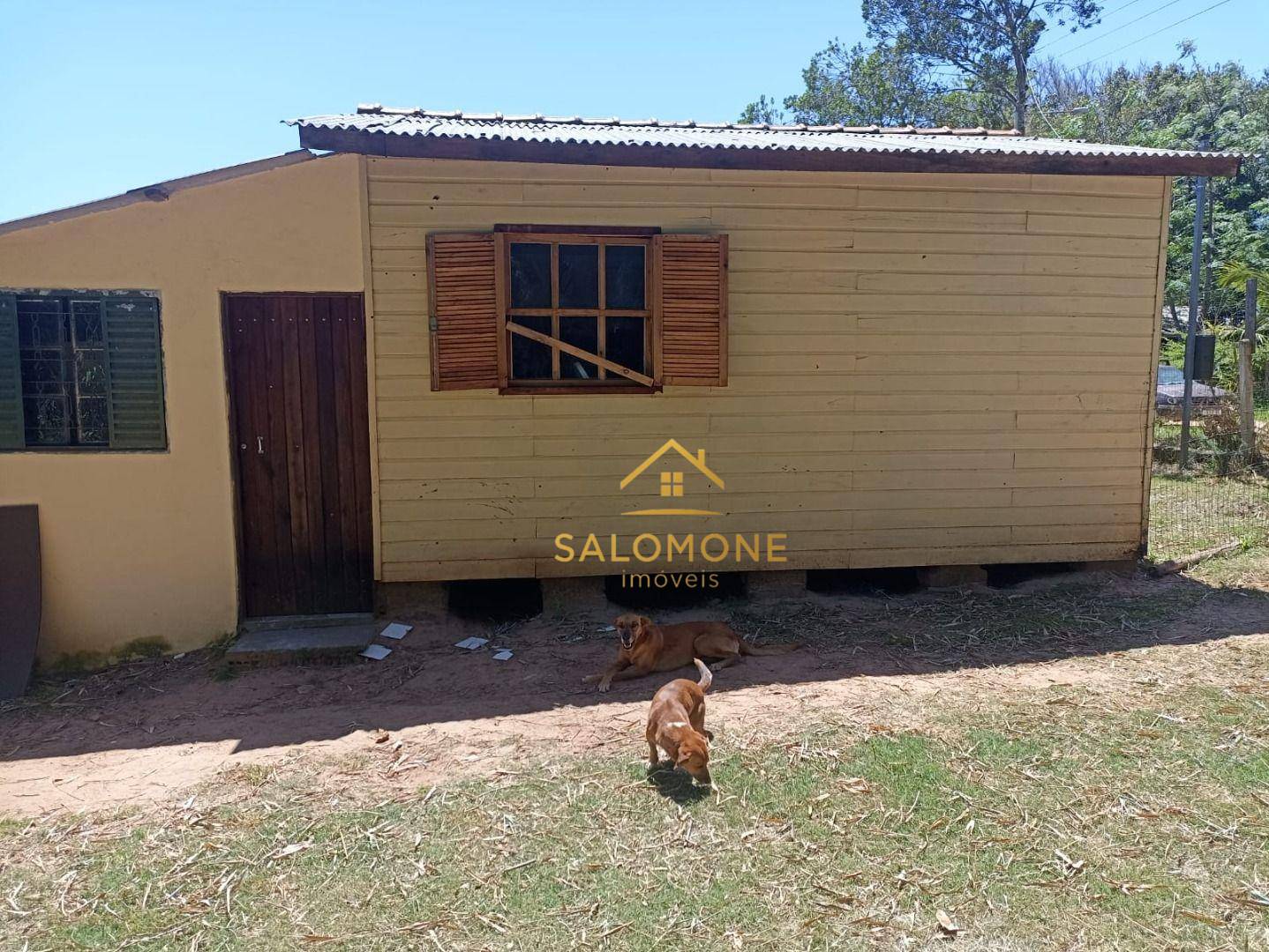 Sítio, 2 quartos, 500 m² - Foto 5