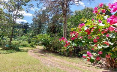 Fazenda à venda com 3 quartos, 100000m² - Foto 10