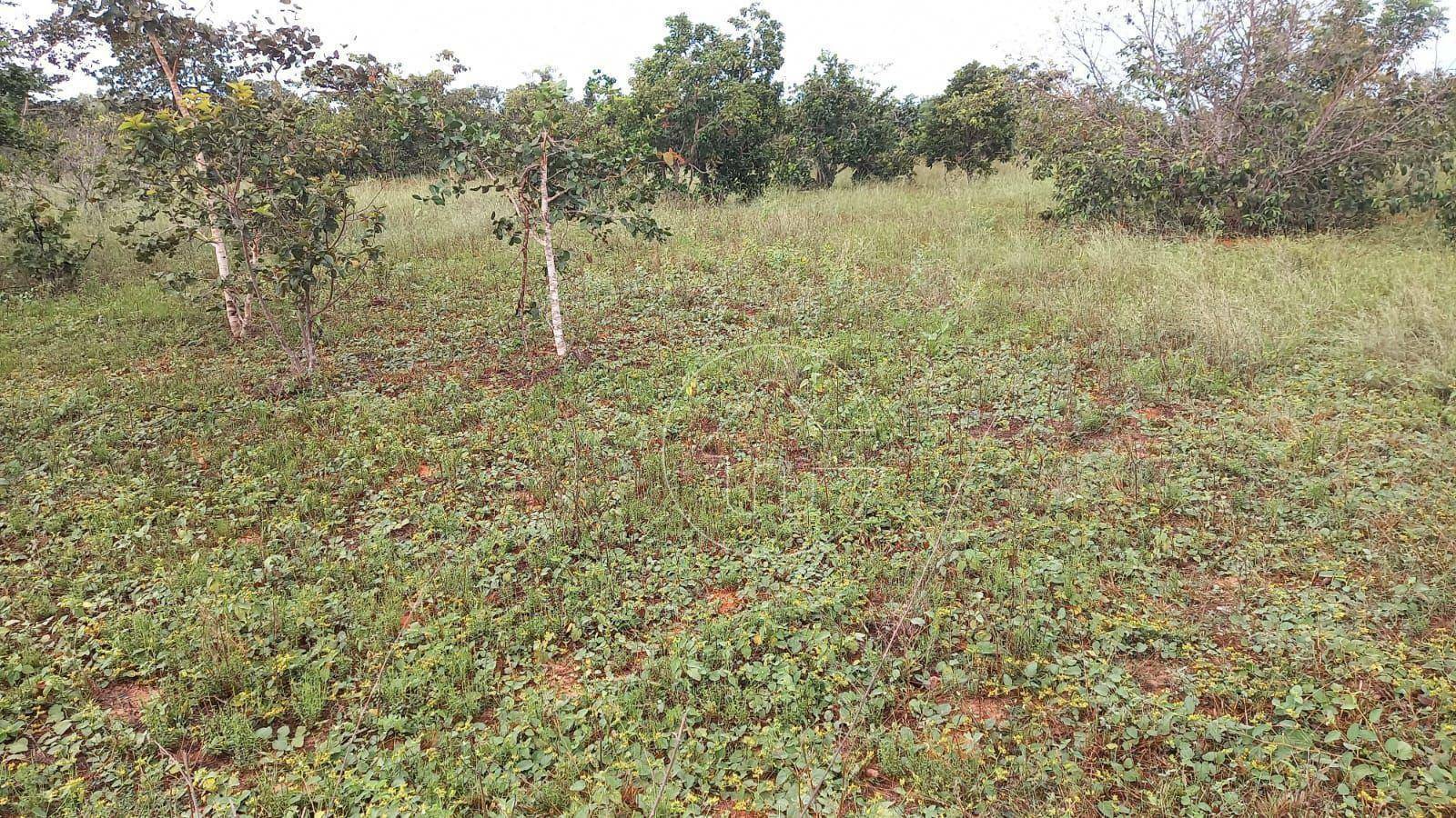 Fazenda à venda, 32000000M2 - Foto 11