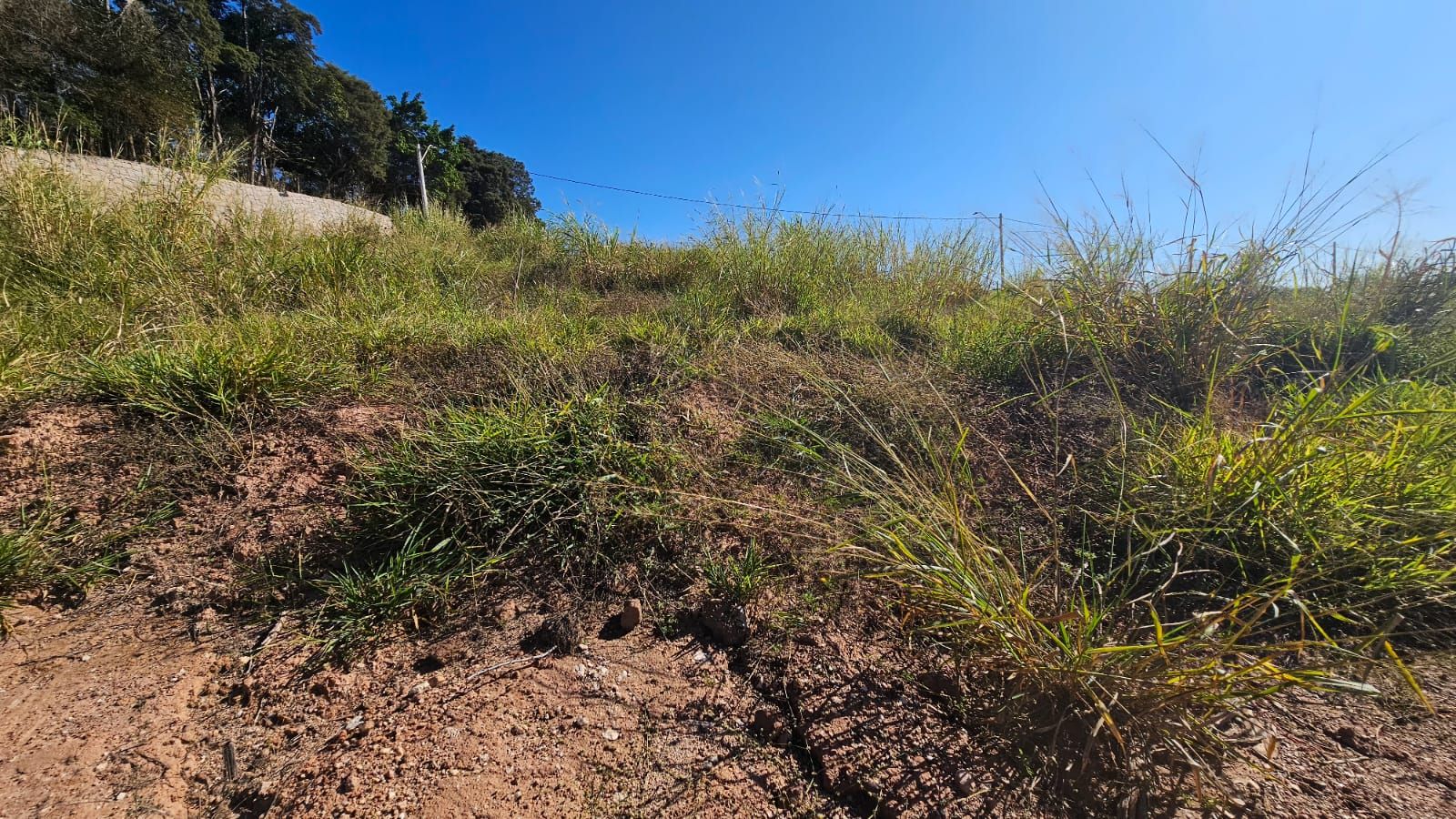 Loteamento e Condomínio à venda, 250M2 - Foto 4